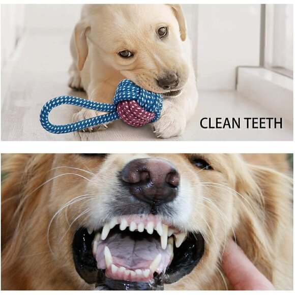 Toozey Puppy Toys for Small Dogs, 7 Pack Small Dog Squeaky, Chew, Rope Toys - Picture 6 of 9
